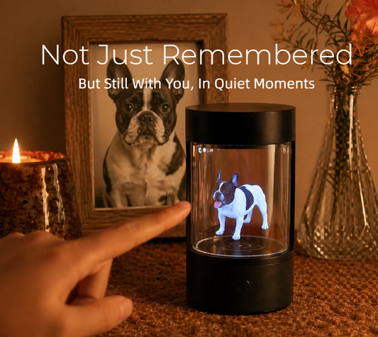 CelestiBridge™ Gen 1 | Essential AI Holographic Companion Box